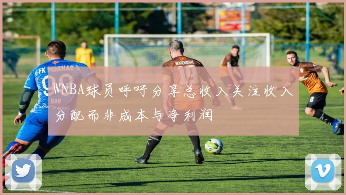 WNBA球员呼吁分享总收入关注收入分配而非成本与净利润